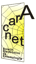 aracne