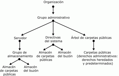 arbol dm