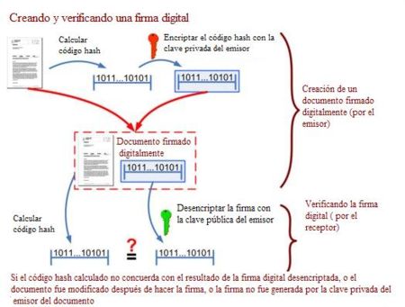 firma digital